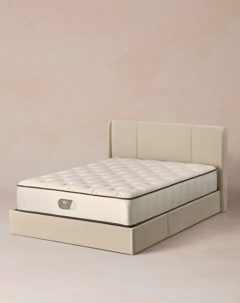 Plush Top Mattress thumbnail number 1
