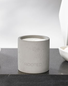 Rooted Candle thumbnail number 2