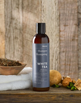 Shampoo thumbnail number 1