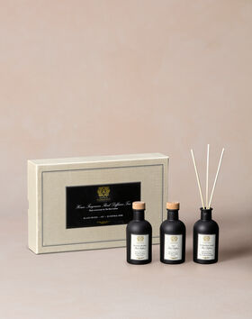 Black Reed Diffuser Set thumbnail number 1
