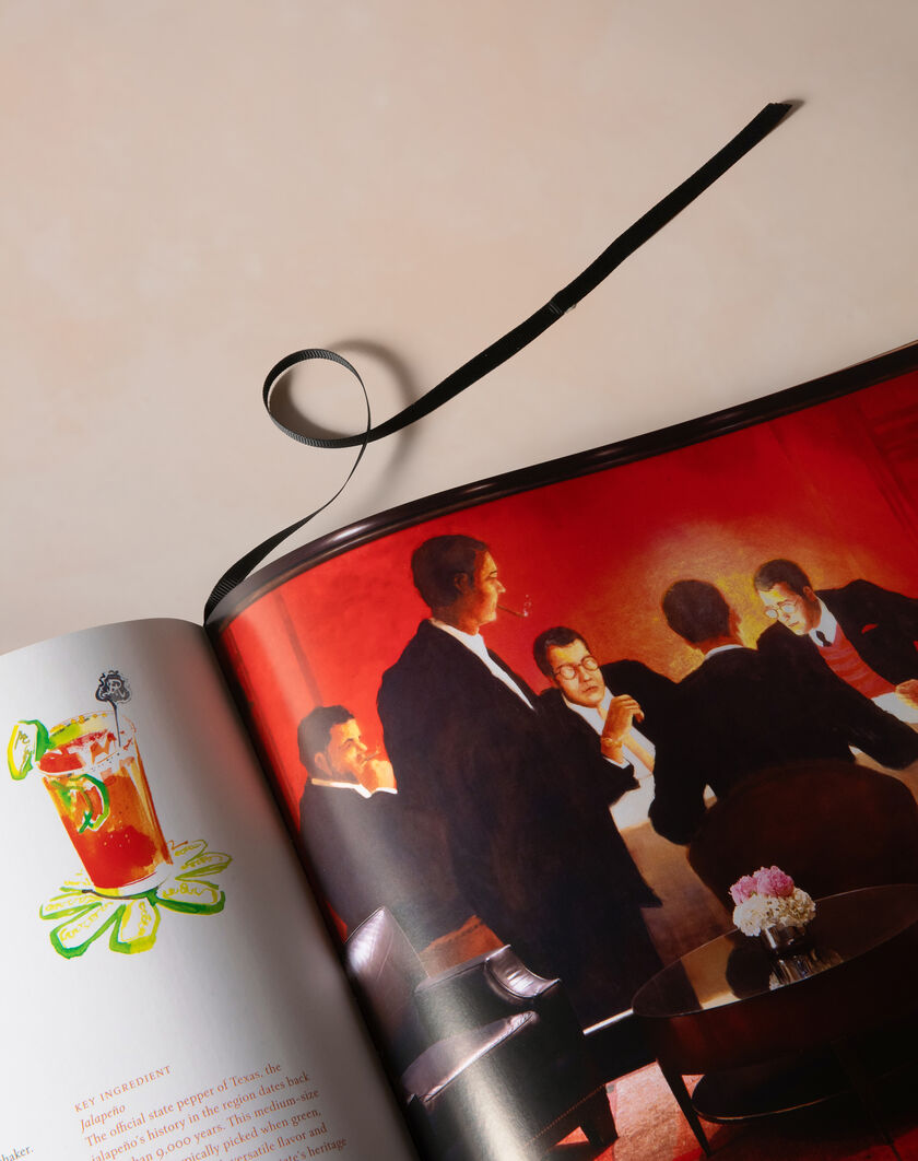 The Bloody Mary Book thumbnail number 1