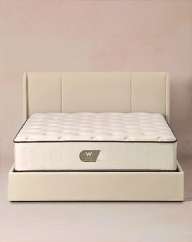 Plush Top Mattress thumbnail number 0