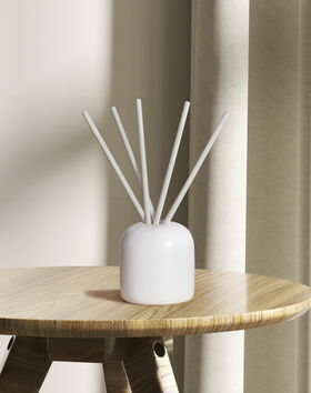 Rooted Scent Sticks thumbnail number 1