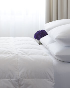 Down Duvet thumbnail number 1