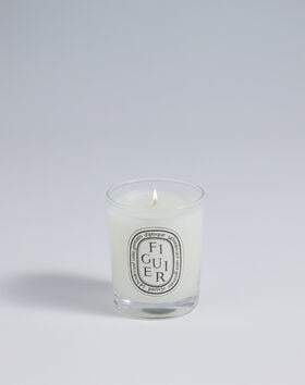 Figuier/Fig Tree Glass Candle thumbnail number 0