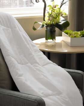 Travel Blanket thumbnail number 1