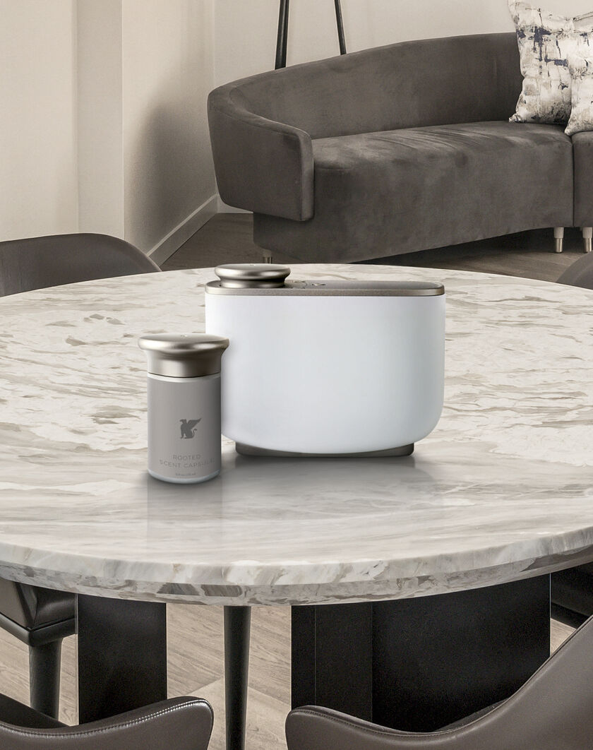 Rooted Room Diffuser Set thumbnail number 1